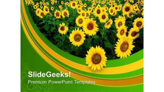 Multiple Sunflowers As Bunch Decoration PowerPoint Templates Ppt Backgrounds For Slides 0313