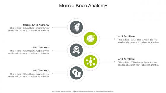 Muscle Knee Anatomy In Powerpoint And Google Slides Cpb