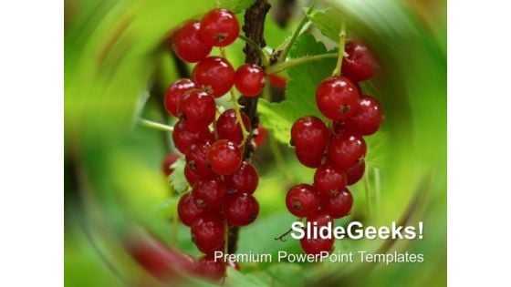Natural Fruits Garden Food PowerPoint Templates Ppt Backgrounds For Slides 0213 Natural Fruits Garden Food PowerPoint Templates Ppt Backgrounds For Slides 0213