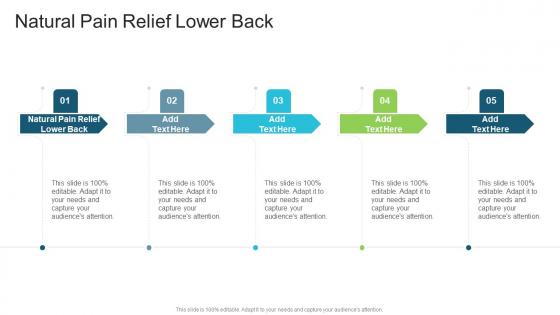 Natural Pain Relief Lower Back In Powerpoint And Google Slides Cpb Natural Pain Relief Lower Back In Powerpoint And Google Slides Cpb