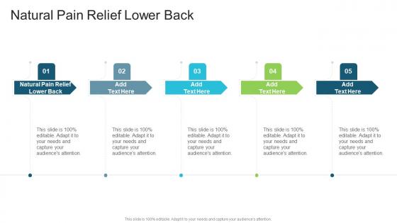 Natural Pain Relief Lower Back In Powerpoint And Google Slides Cpb