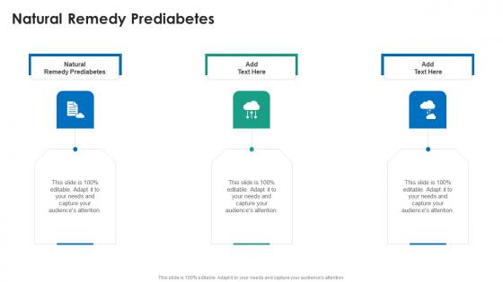 Natural Remedy Prediabetes In Powerpoint And Google Slides Cpb Natural Remedy Prediabetes In Powerpoint And Google Slides Cpb