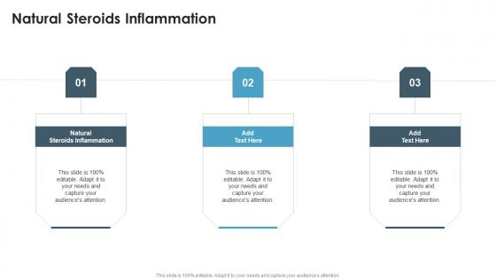 Natural Steroids Inflammation In Powerpoint And Google Slides Cpb Natural Steroids Inflammation In Powerpoint And Google Slides Cpb