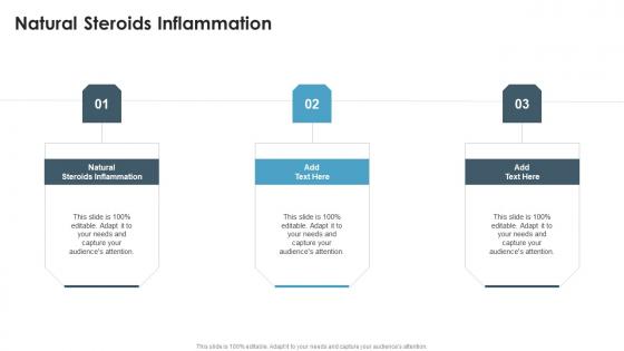 Natural Steroids Inflammation In Powerpoint And Google Slides Cpb