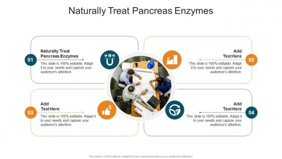 Naturally Treat Pancreas Enzymes In Powerpoint And Google Slides Cpb