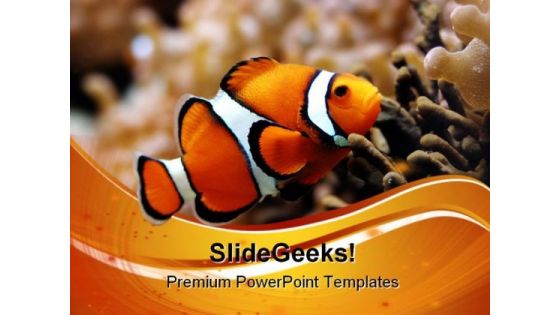 Nemo Animals PowerPoint Themes And PowerPoint Slides 0511