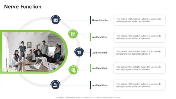Nerve Function In Powerpoint And Google Slides Cpb