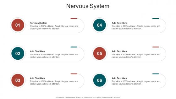 Nervous System In Powerpoint And Google Slides Cpb