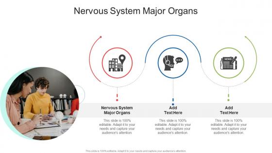 Nervous System Major Organs In Powerpoint And Google Slides Cpb