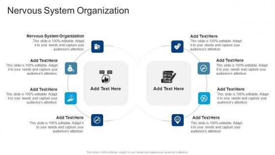 Nervous System Organization In Powerpoint And Google Slides Cpb