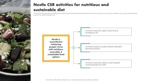 Nestle CSR Activities For Nutritious And Sustainable Diet Customer Segmentation Template Pdf