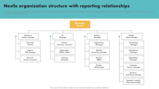 Nestle Organization Structure With Reporting Relationships Customer Segmentation Brochure Pdf