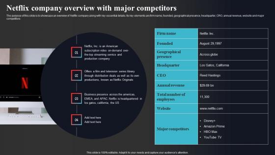 Netflix Company Overview With Major Competitors Enhancing Online Visibility Themes Pdf