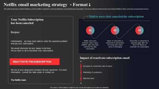 Netflix Email Marketing Strategy Format 1 Enhancing Online Visibility Demonstration Pdf