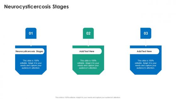 Neurocysticercosis Stages In Powerpoint And Google Slides Cpb