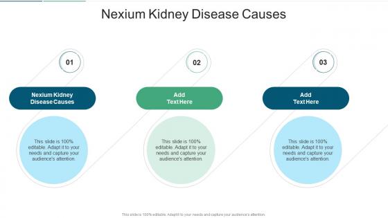 Nexium Kidney Disease Causes In Powerpoint And Google Slides Cpb