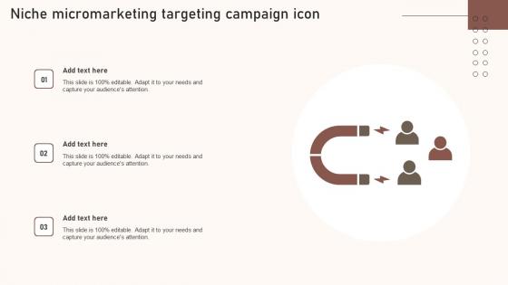 Niche Micromarketing Targeting Campaign Icon Download Pdf