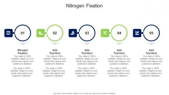 Nitrogen Fixation In Powerpoint And Google Slides Cpb