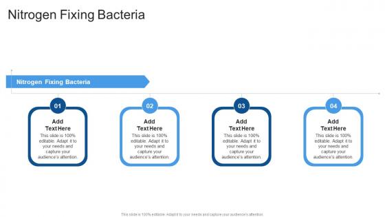 Nitrogen Fixing Bacteria In Powerpoint And Google Slides Cpb