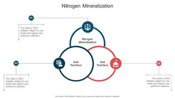 Nitrogen Mineralization In Powerpoint And Google Slides Cpb