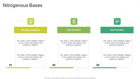 Nitrogenous Bases In Powerpoint And Google Slides Cpb