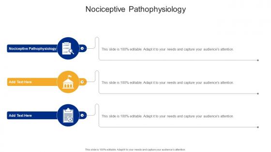 Nociceptive Pain Pathophysiology In Powerpoint And Google Slides Cpb