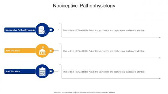 Nociceptive Pain Pathophysiology In Powerpoint And Google Slides Cpb Nociceptive Pain Pathophysiology In Powerpoint And Google Slides Cpb