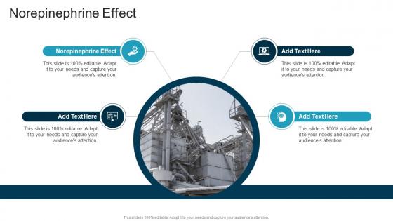 Norepinephrine Effect In Powerpoint And Google Slides Cpb