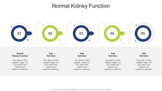 Normal Kidney Function In Powerpoint And Google Slides Cpb