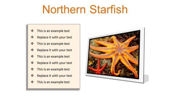 Northern Starfish Beach PowerPoint Presentation Slides F