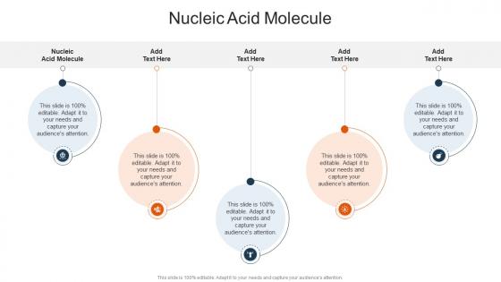 Nucleic Acid Molecule In Powerpoint And Google Slides Cpb