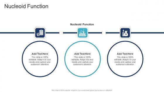 Nucleoid Function In Powerpoint And Google Slides Cpb Nucleoid Function In Powerpoint And Google Slides Cpb