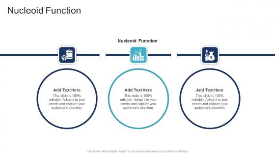 Nucleoid Function In Powerpoint And Google Slides Cpb