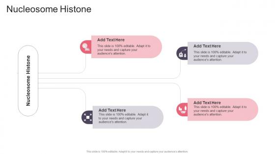 Nucleosome Histone In Powerpoint And Google Slides Cpb Nucleosome Histone In Powerpoint And Google Slides Cpb