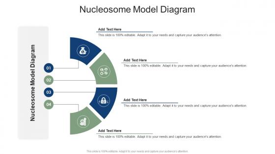 Nucleosome Model Diagram In Powerpoint And Google Slides Cpb