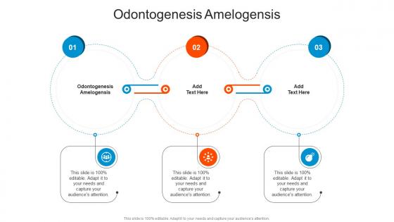 Odontogenesis Amelogensis In Powerpoint And Google Slides Cpb
