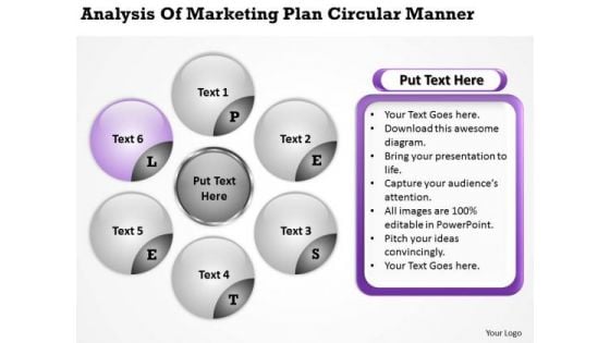 Of Marketing Plan Circular Manner Company Description Business PowerPoint Slides