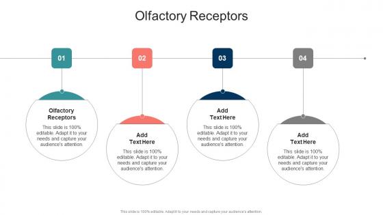 Olfactory Receptors In Powerpoint And Google Slides Cpb