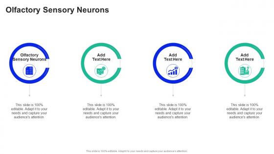 Olfactory Sensory Neurons In Powerpoint And Google Slides Cpb