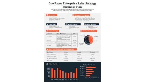 One Pager Enterprise Sales Strategy Business Plan PDF Document PPT Template