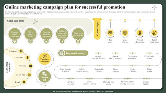 Online Marketing Campaign Plan For Successful Promotion Successful Launch Ppt Template