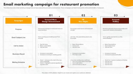 Online Promotional Activities Email Marketing Campaign Infographics Pdf