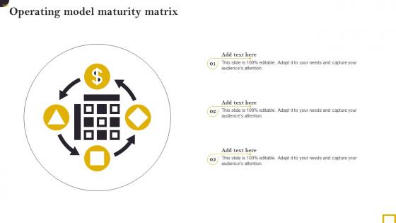 Operating Model Maturity Matrix Professional Pdf
