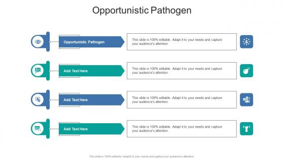 Opportunistic Pathogen In Powerpoint And Google Slides Cpb