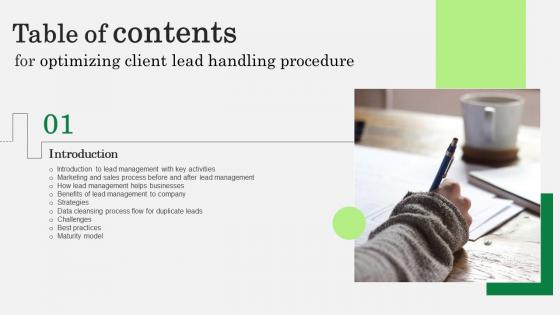 Optimizing Client Lead Handling Procedure Table Of Contents Infographics Pdf