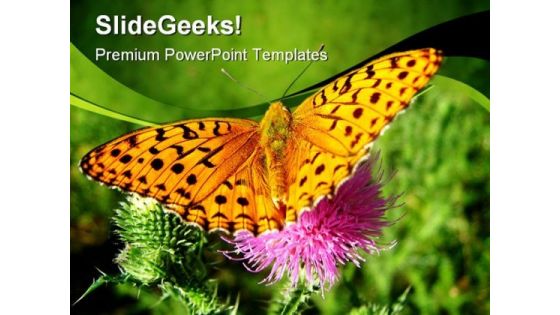 Orange Butterfly Animals PowerPoint Themes And PowerPoint Slides 0211