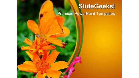 Orange Butterfly Nature PowerPoint Templates And PowerPoint Backgrounds 0211