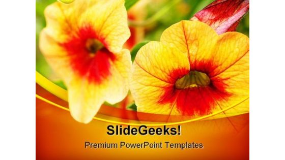 Orange Flowers Beauty PowerPoint Templates And PowerPoint Backgrounds 0211