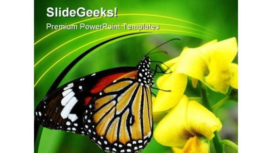 Orange Tiger Butterfly Animals PowerPoint Templates And PowerPoint Backgrounds 0211