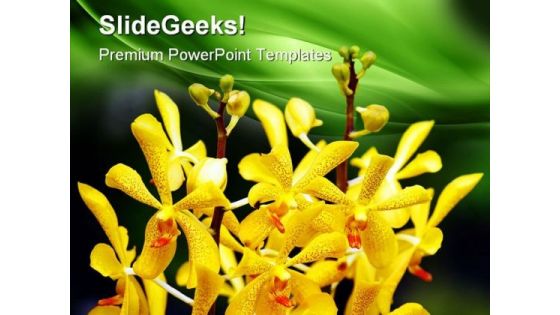 Orchids Flower Beauty PowerPoint Templates And PowerPoint Backgrounds 0511